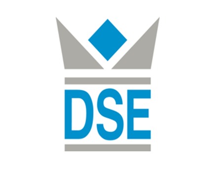 DSE IT Services